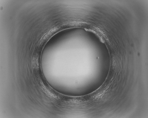 X0000059080633200510211543