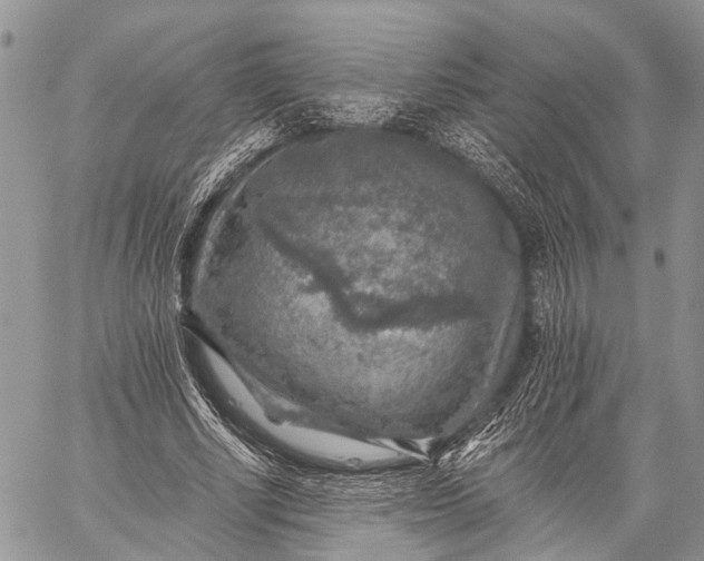 X0000059080634200510211543