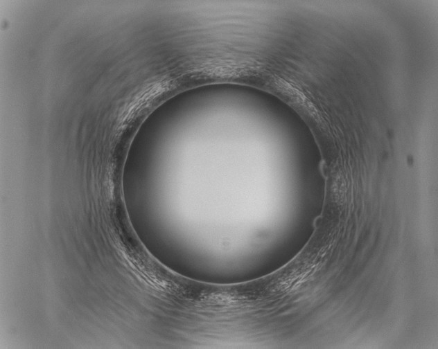 X0000059080635200510211543