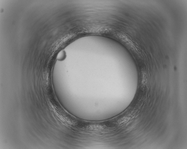 X0000059080636200510211543