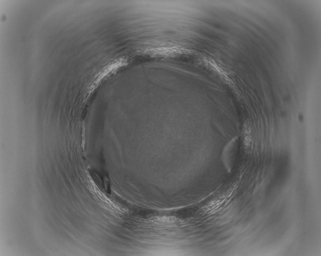 X0000059080637200510211543