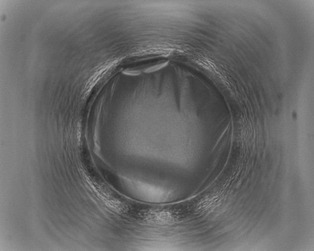 X0000059080640200510211543