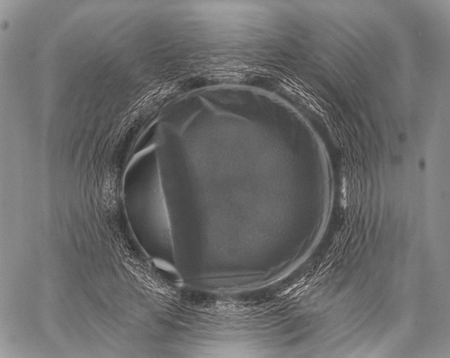 X0000059080641200510211543