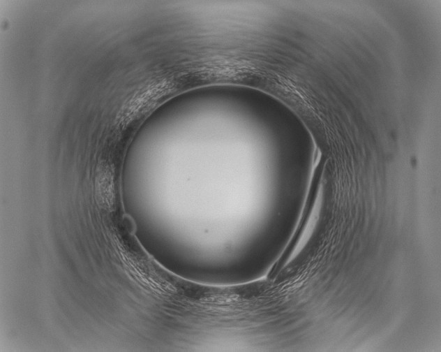 X0000059080642200510211543