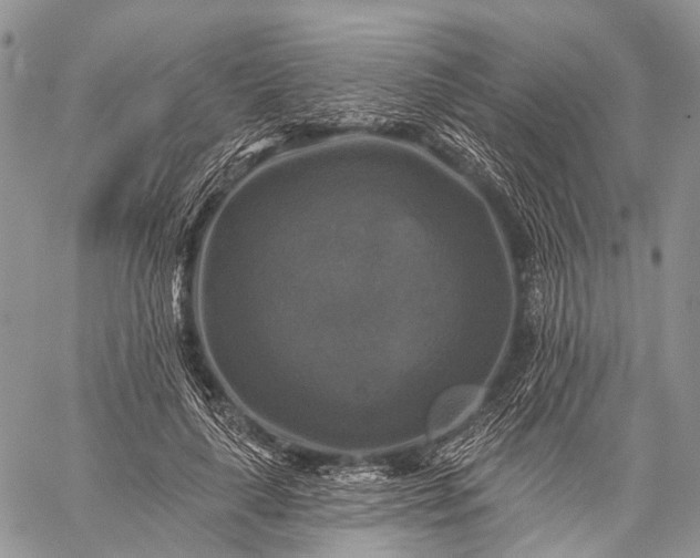 X0000059080643200510211543