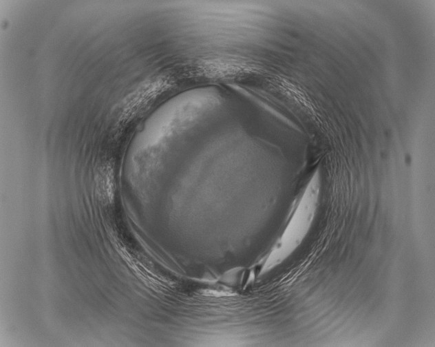 X0000059080644200510211543