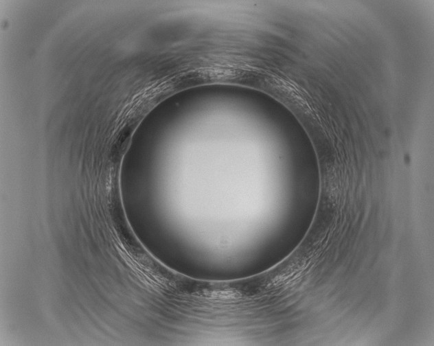 X0000059080645200510211543