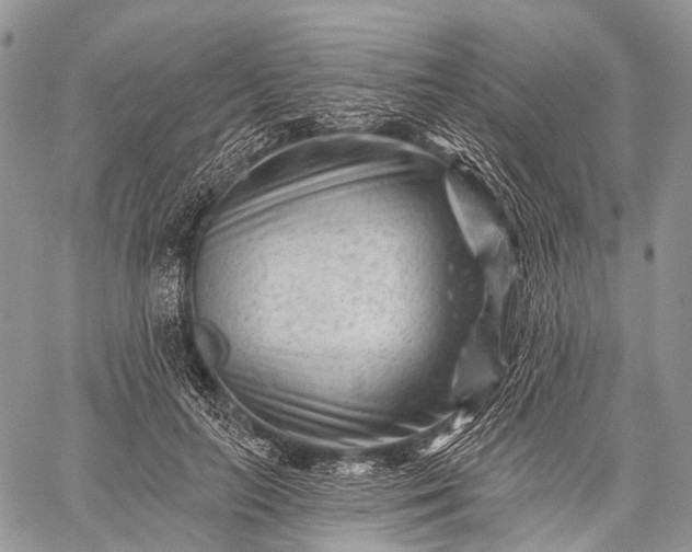 X0000059080647200510211543