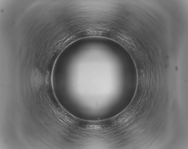 X0000059080649200510211543