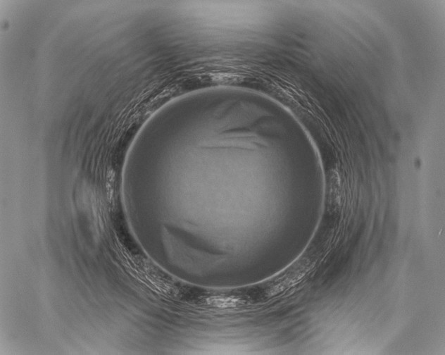 X0000059080650200510211543