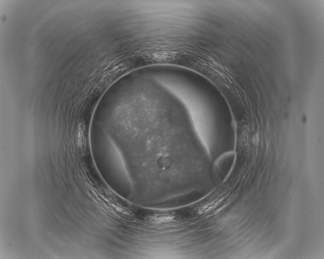 X0000059080651200510211543