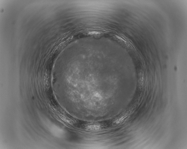 X0000059080653200510211543