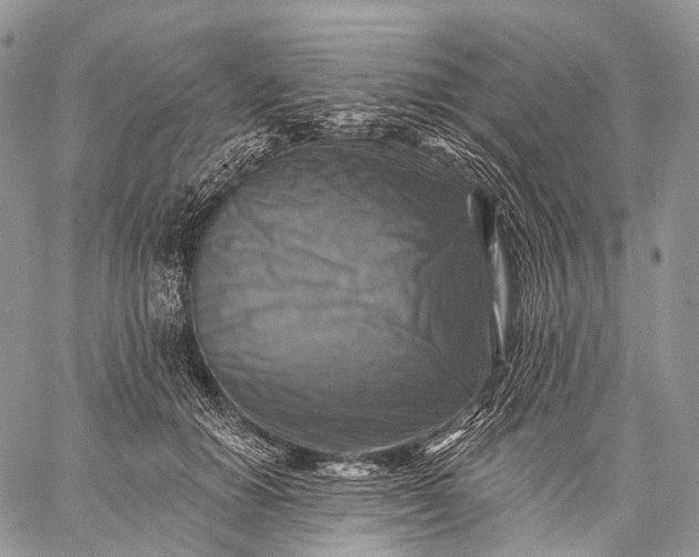 X0000059080654200510211543