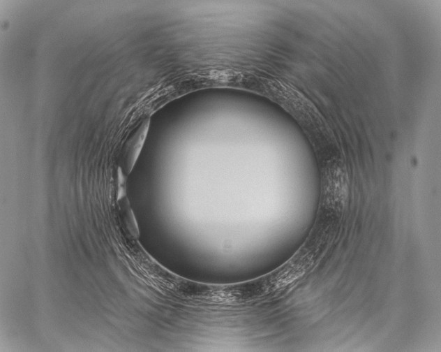 X0000059080656200510211543