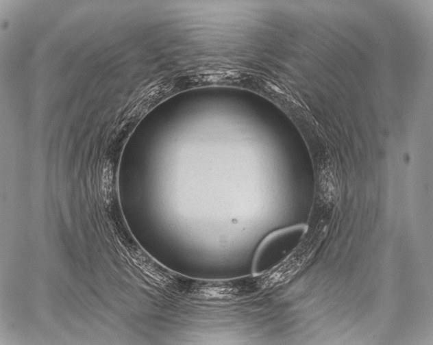 X0000059080657200510211543