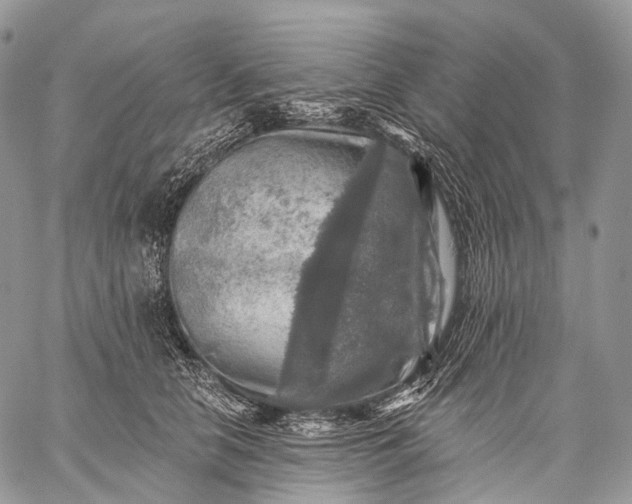 X0000059080658200510211543