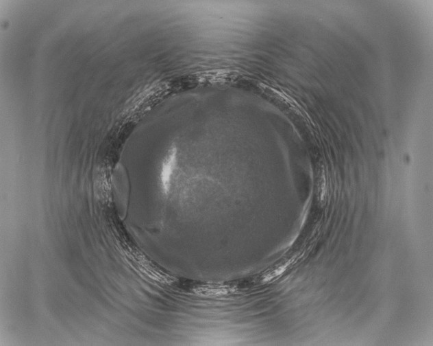 X0000059080661200510211543