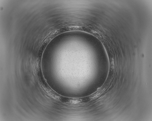 X0000059080662200510211543