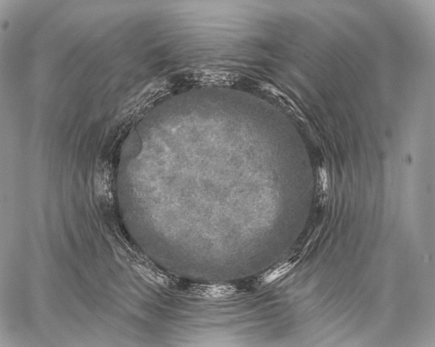 X0000059080663200510211543