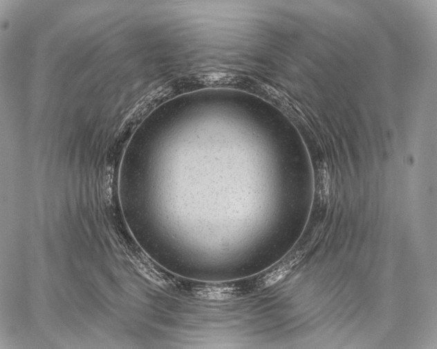 X0000059080664200510211543