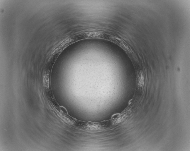 X0000059080666200510211543