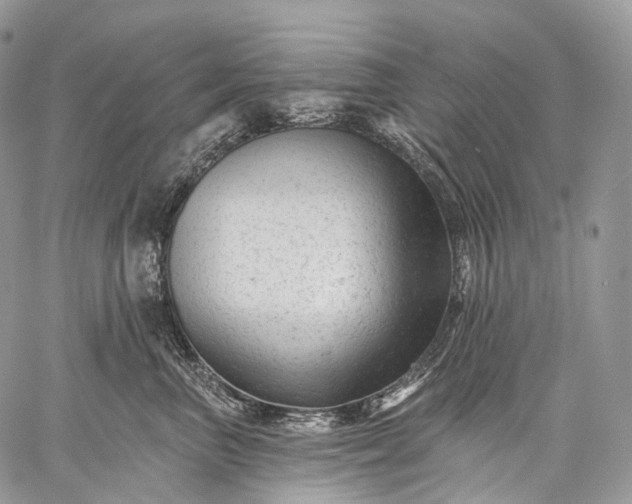 X0000059080667200510211543