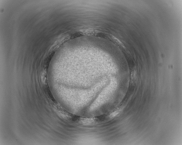 X0000059080671200510211543