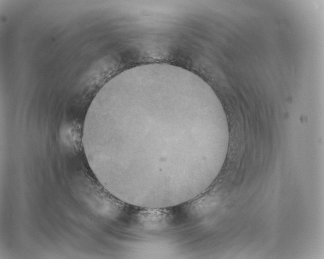 X0000059080672200510211543