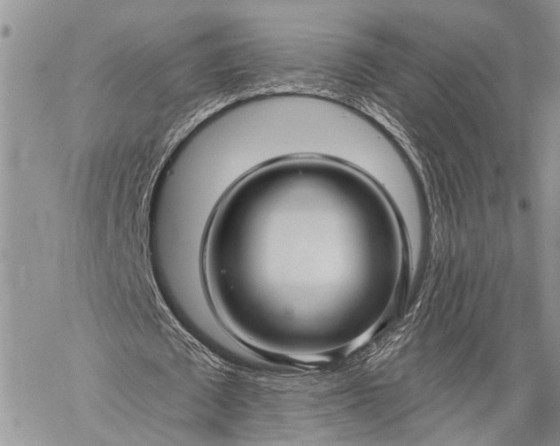 X0000059080673200510211542