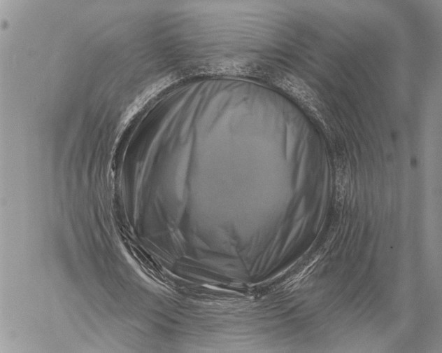 X0000059080674200510211542