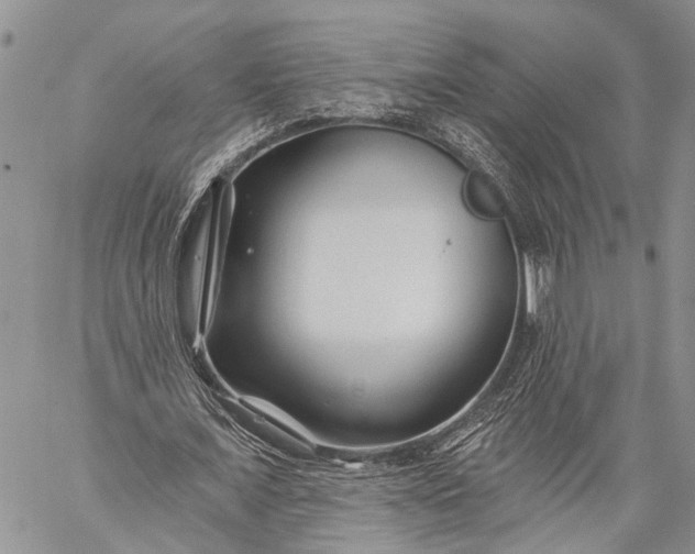 X0000059080675200510211542