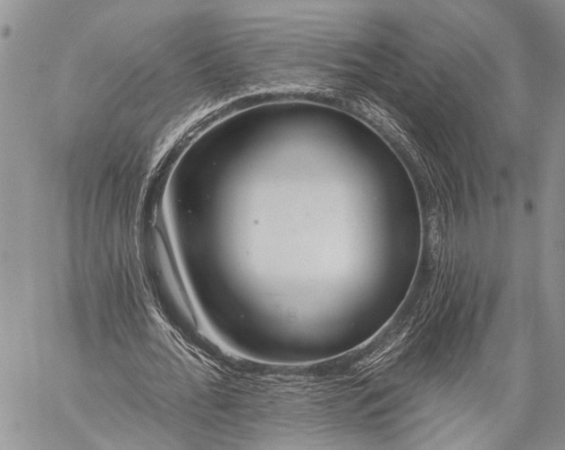 X0000059080676200510211542