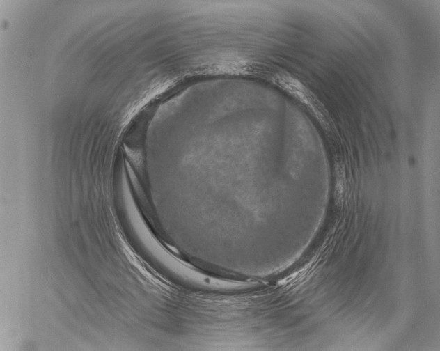 X0000059080677200510211542