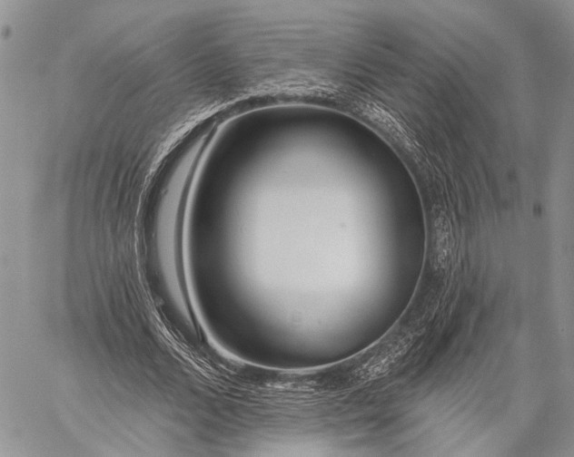 X0000059080680200510211542