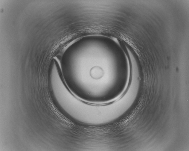 X0000059080681200510211542