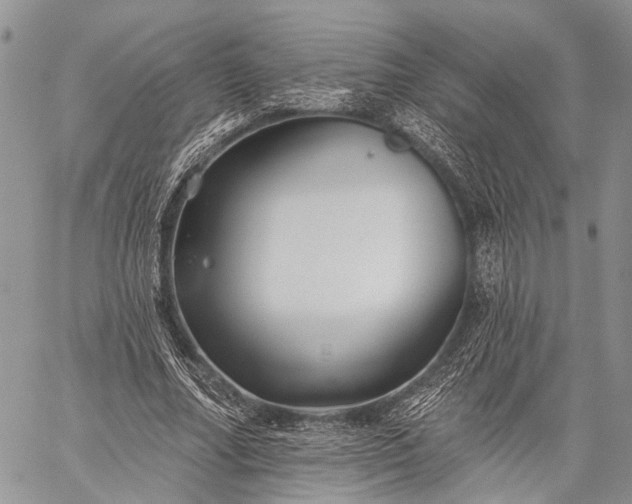 X0000059080682200510211542