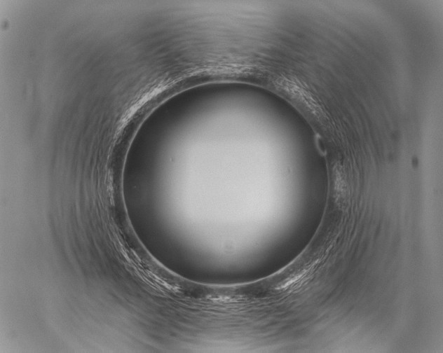 X0000059080684200510211542