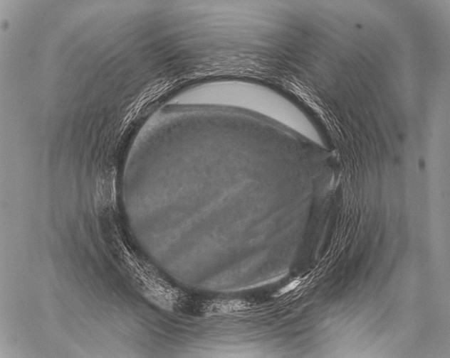 X0000059080685200510211542