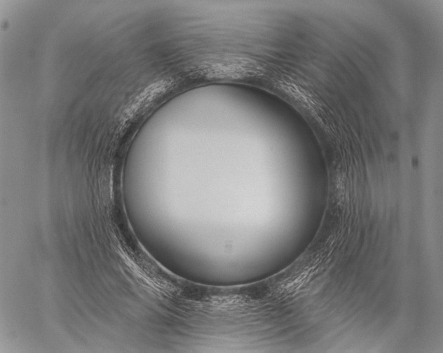 X0000059080686200510211542