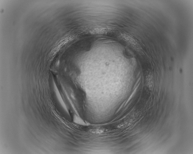 X0000059080687200510211542