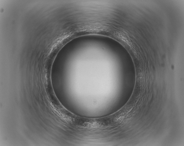 X0000059080688200510211542