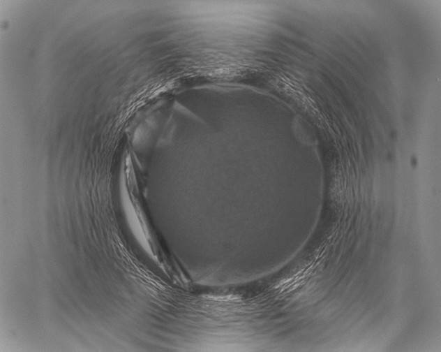 X0000059080689200510211542