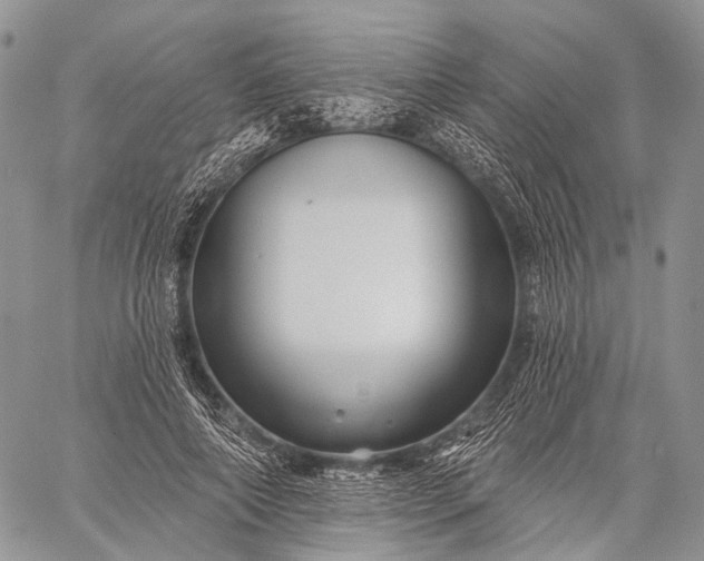 X0000059080690200510211542