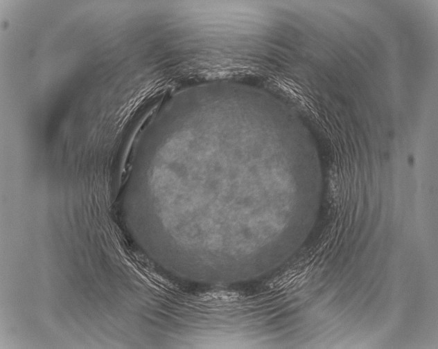 X0000059080691200510211542