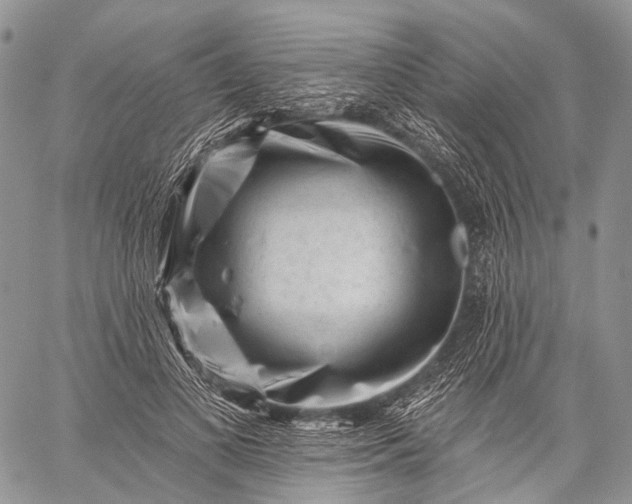 X0000059080693200510211542