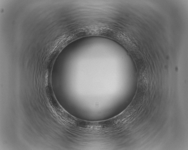 X0000059080694200510211542