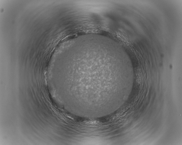 X0000059080695200510211542