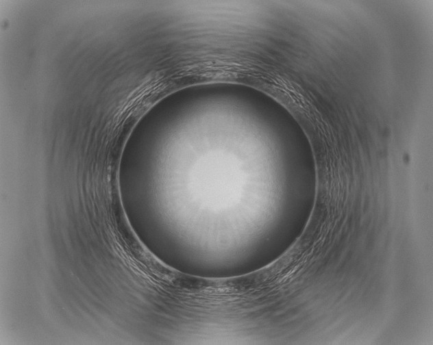 X0000059080696200510211542