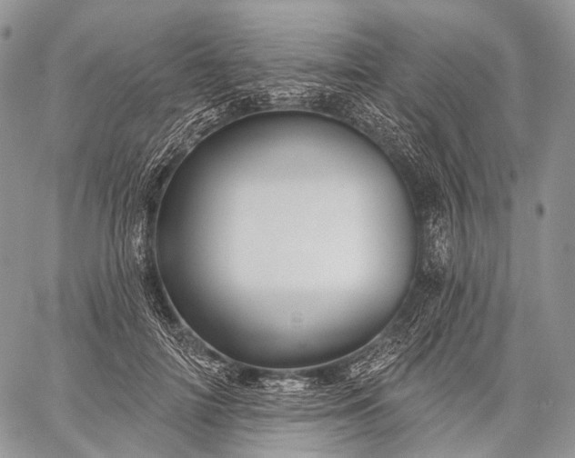 X0000059080698200510211542