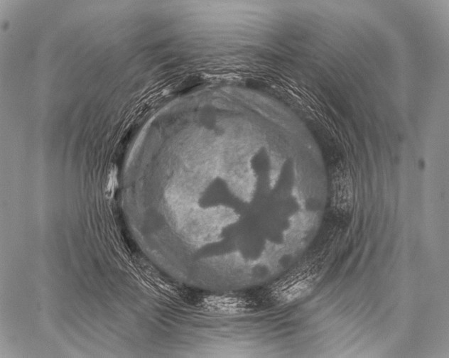 X0000059080699200510211542